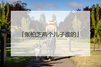 张柏芝两个儿子谁的