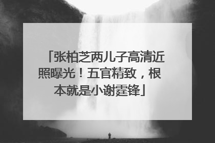 张柏芝两儿子高清近照曝光！五官精致，根本就是小谢霆锋