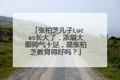 张柏芝儿子Lucas长大了，浓眉大眼帅气十足，是张柏芝教育得好吗？