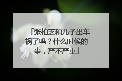 张柏芝和儿子出车祸了吗？什么时候的事，严不严重