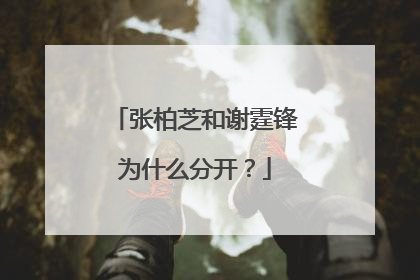 张柏芝和谢霆锋为什么分开?