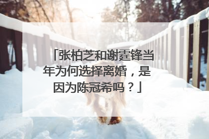 张柏芝和谢霆锋当年为何选择离婚，是因为陈冠希吗？