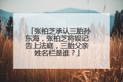张柏芝承认三胎孙东海，张柏芝将娱记告上法庭，三胎父亲姓名栏是谁？