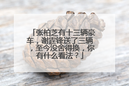 张柏芝有十三辆豪车，谢霆锋送了三辆，至今没舍得换，你有什么看法？