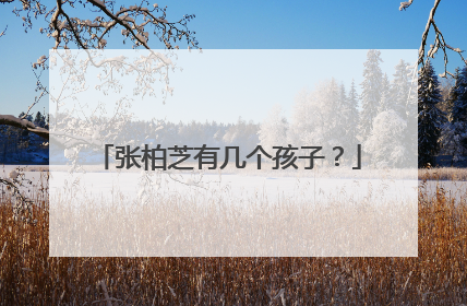 张柏芝有几个孩子?