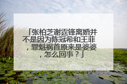 张柏芝谢霆锋离婚并不是因为陈冠希和王菲，罪魁祸首原来是婆婆，怎么回事？