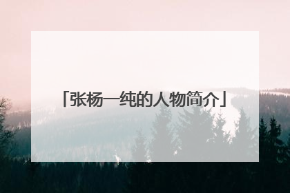 张杨一纯的人物简介