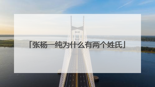 张杨一纯为什么有两个姓氏