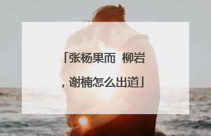 张杨果而 柳岩，谢楠怎么出道