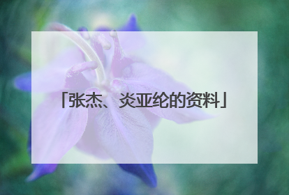 张杰、炎亚纶的资料