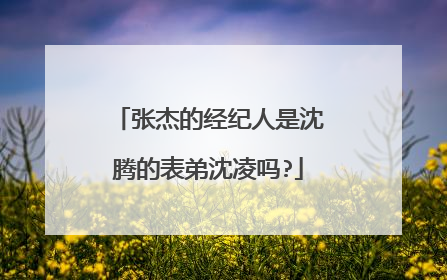 张杰的经纪人是沈腾的表弟沈凌吗?
