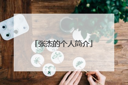 张杰的个人简介