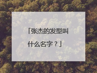 张杰的发型叫什么名字？