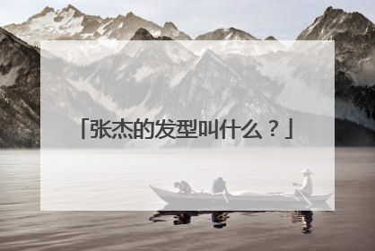 张杰的发型叫什么？