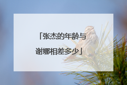 张杰的年龄与谢娜相差多少