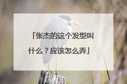 张杰的这个发型叫什么？应该怎么弄