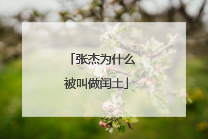 张杰为什么被叫做闰土