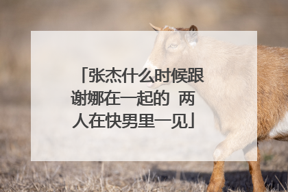 张杰什么时候跟谢娜在一起的 两人在快男里一见