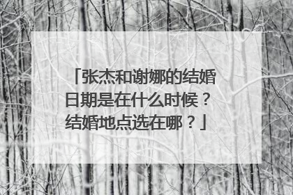 张杰和谢娜的结婚日期是在什么时候？结婚地点选在哪？