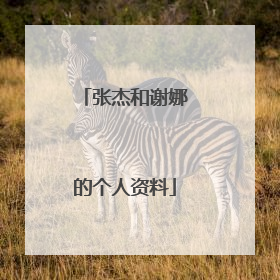 张杰和谢娜的个人资料