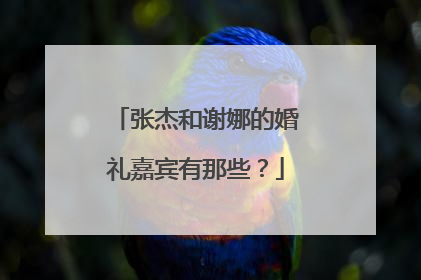 张杰和谢娜的婚礼嘉宾有那些？