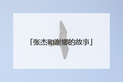 张杰和谢娜的故事