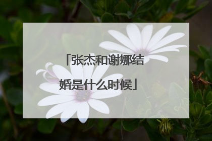 张杰和谢娜结婚是什么时候