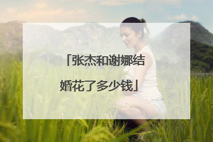 张杰和谢娜结婚花了多少钱