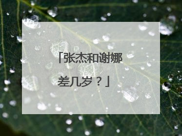 张杰和谢娜差几岁？