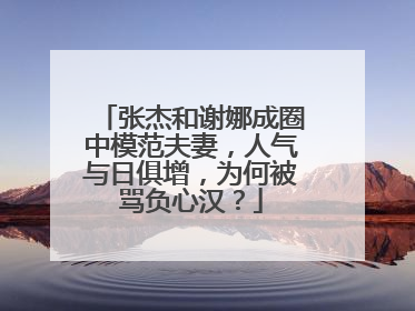 张杰和谢娜成圈中模范夫妻,人气与日俱增,为何被骂负心汉?