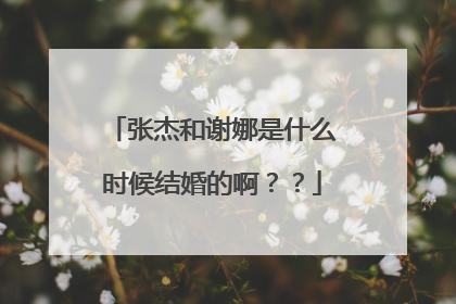张杰和谢娜是什么时候结婚的啊??