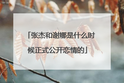 张杰和谢娜是什么时候正式公开恋情的