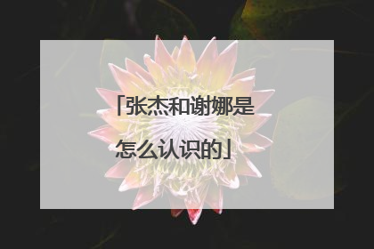张杰和谢娜是怎么认识的