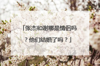 张杰和谢娜是情侣吗?他们结婚了吗?