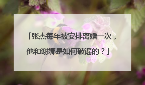 张杰每年被安排离婚一次,他和谢娜是如何破谣的?