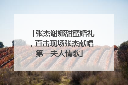 张杰谢娜甜蜜婚礼,直击现场张杰献唱第一夫人情歌