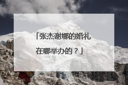 张杰谢娜的婚礼在哪举办的?