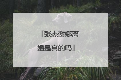 张杰谢娜离婚是真的吗