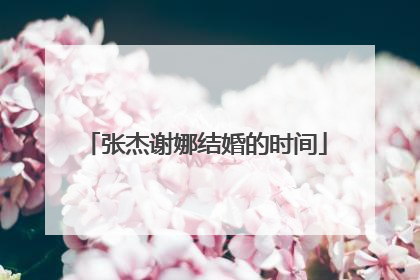 张杰谢娜结婚的时间