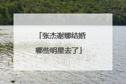 张杰谢娜结婚哪些明星去了