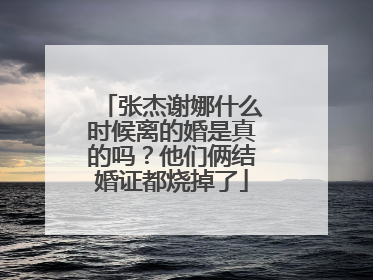 张杰谢娜什么时候离的婚是真的吗?他们俩结婚证都烧掉了