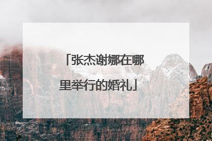 张杰谢娜在哪里举行的婚礼