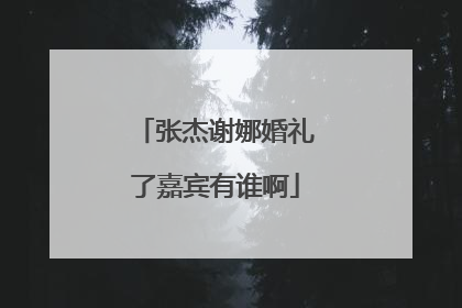 张杰谢娜婚礼了嘉宾有谁啊