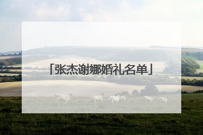 张杰谢娜婚礼名单