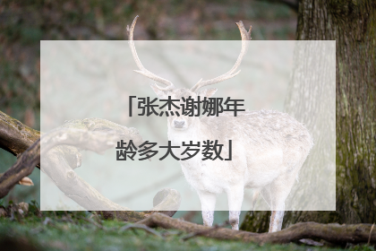 张杰谢娜年龄多大岁数