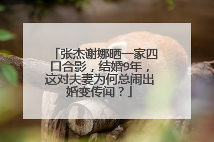 张杰谢娜晒一家四口合影，结婚9年，这对夫妻为何总闹出婚变传闻？
