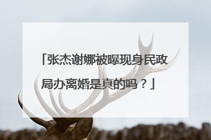 张杰谢娜被曝现身民政局办离婚是真的吗?