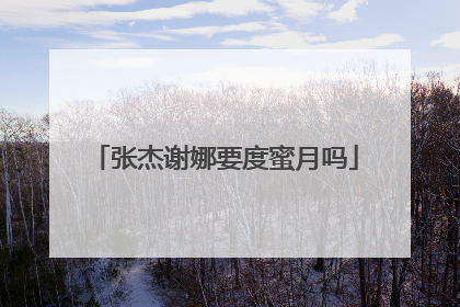 张杰谢娜要度蜜月吗