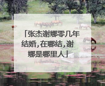 张杰谢娜零几年结婚,在哪结,谢娜是哪里人