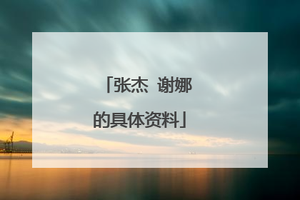 张杰 谢娜的具体资料